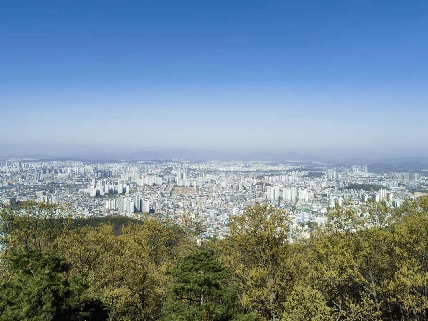 专升本及一年制硕士说明